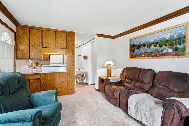 404 2nd St W, Jordan, MN 55352 - living area with ornamental molding and light carpet