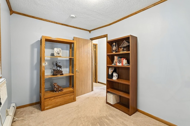404 2nd St W, Jordan, MN 55352 - corridor featuring ornamental molding, carpet floors, baseboard heating, and a textured ceiling