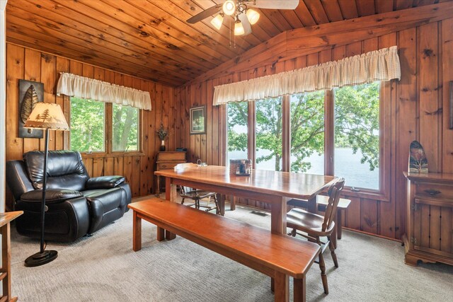 28264 Sunberg Rd, Mora, MN 55051 - photo 20