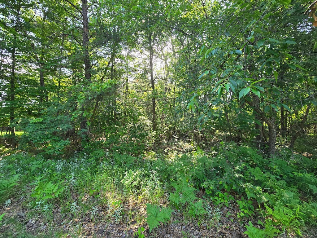 LOT2 Nelson N, Grantsburg, WI 54840 - photo 1