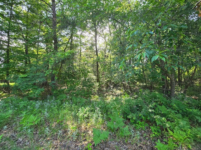 LOT2 Nelson N, Grantsburg, WI 54840 - photo 1