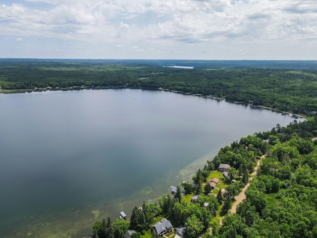 37566 Tulaby Lake Dr, Waubun, MN 56589 - aerial view of a forest and a nearby body of water