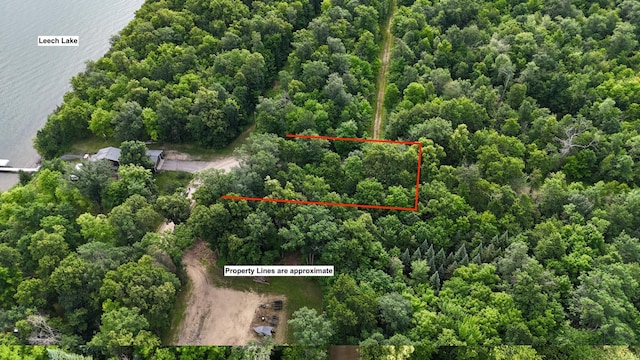 TBD Blue Water Beach Road, Walker, MN 56484 - photo 1