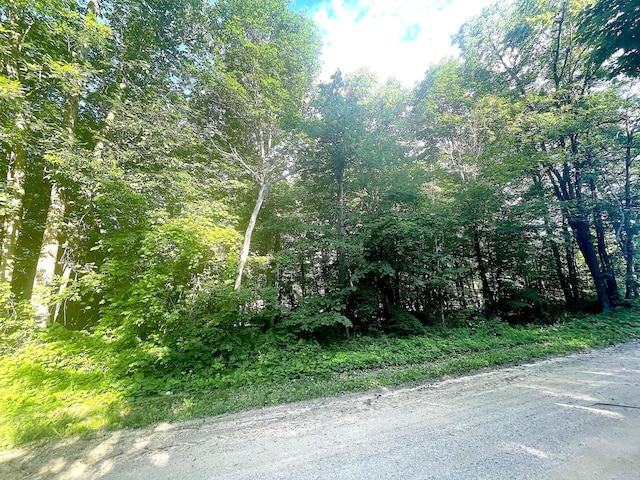 TBD Blue Water Beach Road, Walker, MN 56484 - photo 12