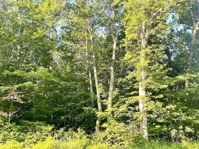 TBD Blue Water Beach Road, Walker, MN 56484 - photo 13