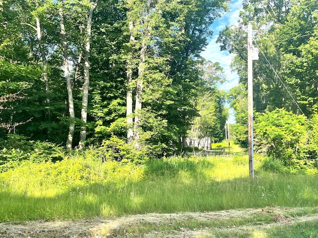 TBD Blue Water Beach Road, Walker, MN 56484 - photo 15