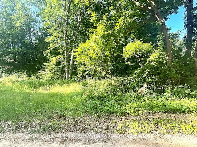 TBD Blue Water Beach Road, Walker, MN 56484 - photo 16