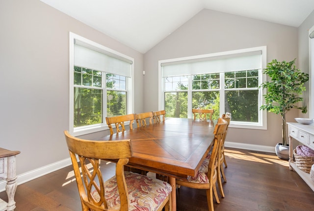 1621 Dutch Lake Dr, Minnetrista, MN 55364 - dining area featuring lofted ceiling and dark wood-style flooring