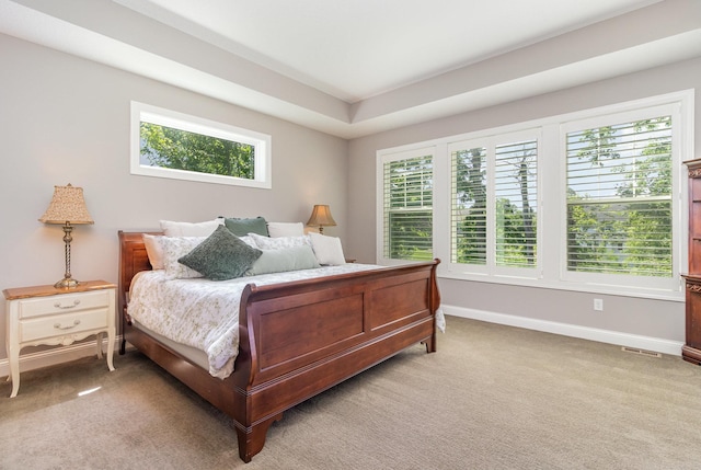 1621 Dutch Lake Dr, Minnetrista, MN 55364 - bedroom with baseboards and light carpet