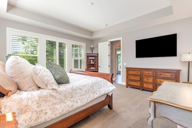 1621 Dutch Lake Dr, Minnetrista, MN 55364 - bedroom featuring light colored carpet and a raised ceiling