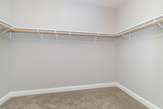 1621 Dutch Lake Dr, Minnetrista, MN 55364 - walk in closet featuring carpet