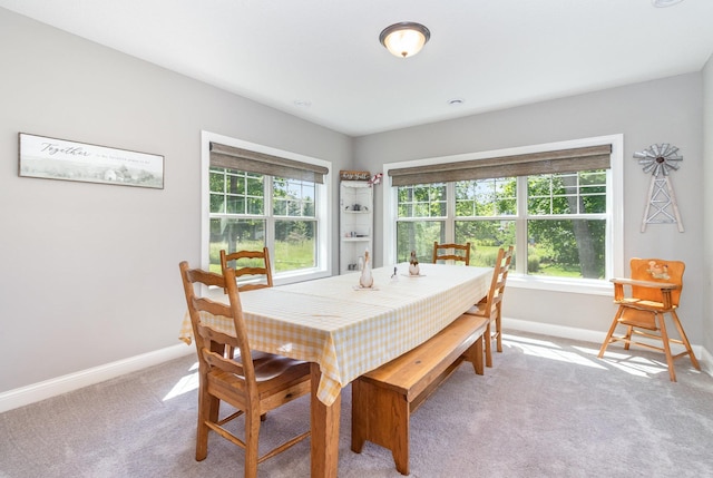 1621 Dutch Lake Dr, Minnetrista, MN 55364 - dining space featuring baseboards and light carpet