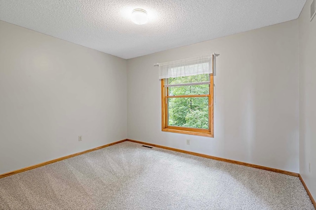 5245 Dufferin Dr, Savage, MN 55378 - carpeted empty room with a textured ceiling and baseboards
