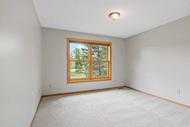 5245 Dufferin Dr, Savage, MN 55378 - empty room with carpet flooring and a textured ceiling
