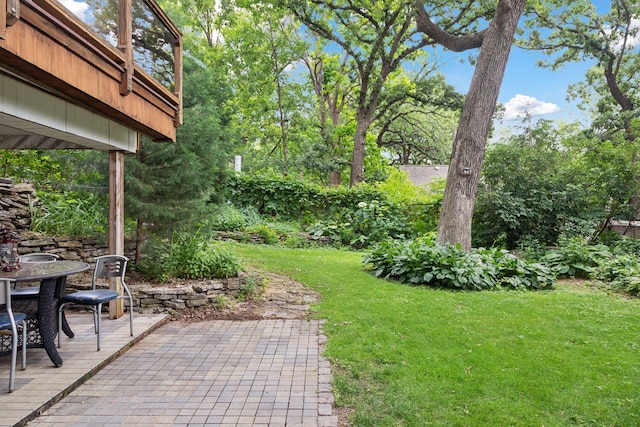 1920 Norfolk Ave, Saint Paul, MN 55116 - photo 32