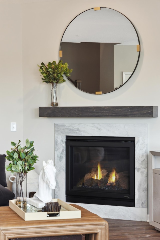 14409 103rd Ln N, Maple Grove, MN 55369 - detailed view of a fireplace and wood finished floors