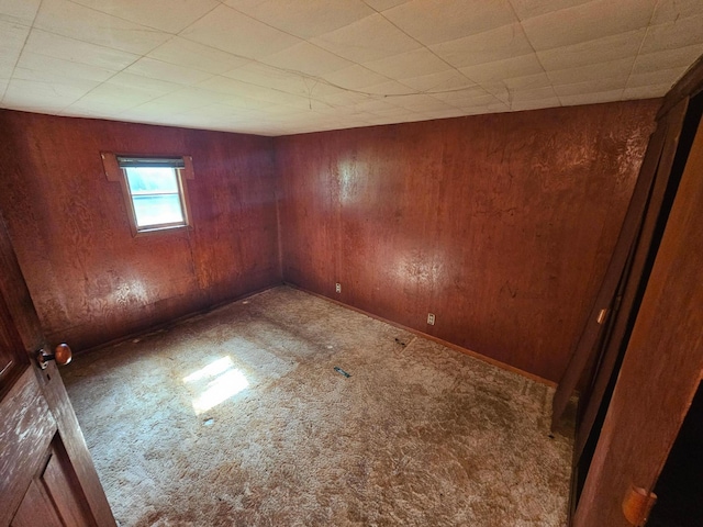 1624 24th Ave SE, Rochester, MN 55904 - carpeted spare room with wooden walls