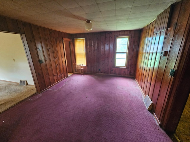1624 24th Ave SE, Rochester, MN 55904 - unfurnished room featuring carpet and wooden walls