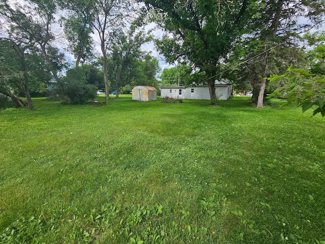 1624 24th Ave SE, Rochester, MN 55904 - view of green lawn with a storage unit