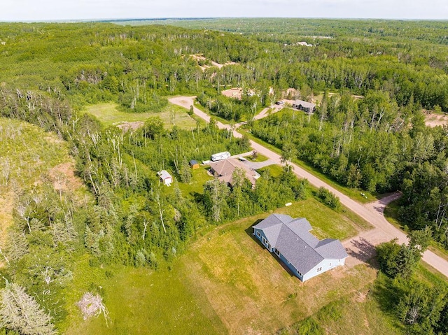 4335 Spring View Dr, Moose Lake, MN 55767 - view of property location featuring a forest
