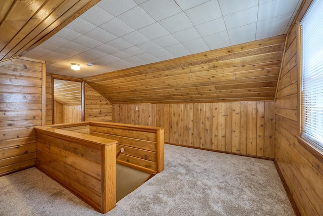 5041 Upton Ave N, Minneapolis, MN 55430 - additional living space with wooden walls, carpet floors, lofted ceiling, and a sauna / steam room