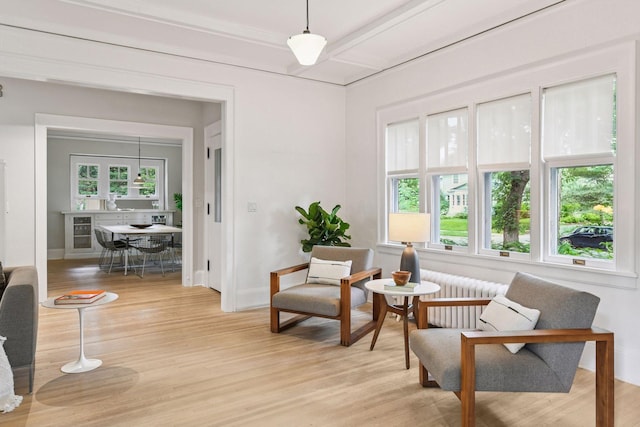 4626 Dupont Ave S, Minneapolis, MN 55419 - living area featuring light wood-style flooring, plenty of natural light, and radiator heating unit