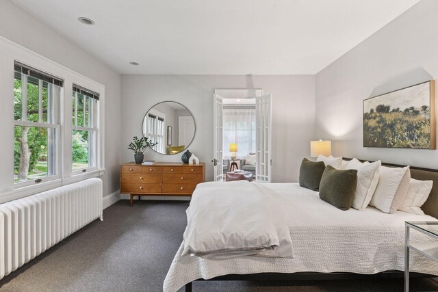 4626 Dupont Ave S, Minneapolis, MN 55419 - bedroom featuring radiator and carpet floors