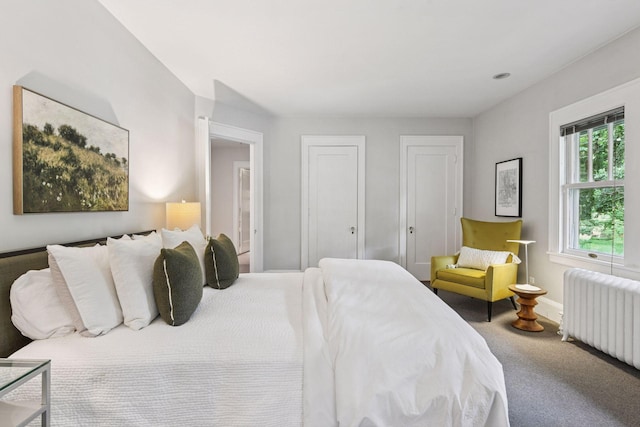 4626 Dupont Ave S, Minneapolis, MN 55419 - bedroom featuring radiator heating unit, carpet flooring, and multiple closets