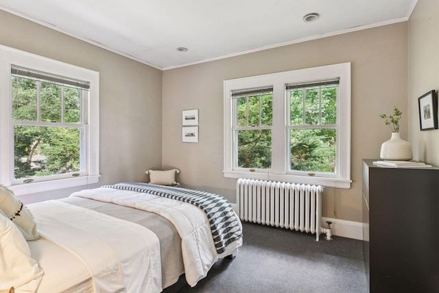 4626 Dupont Ave S, Minneapolis, MN 55419 - bedroom featuring radiator heating unit, carpet flooring, and crown molding