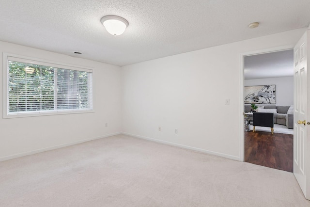 913 Carriage Ln, Chaska, MN 55318 - empty room featuring carpet floors, a textured ceiling, and a smoke detector
