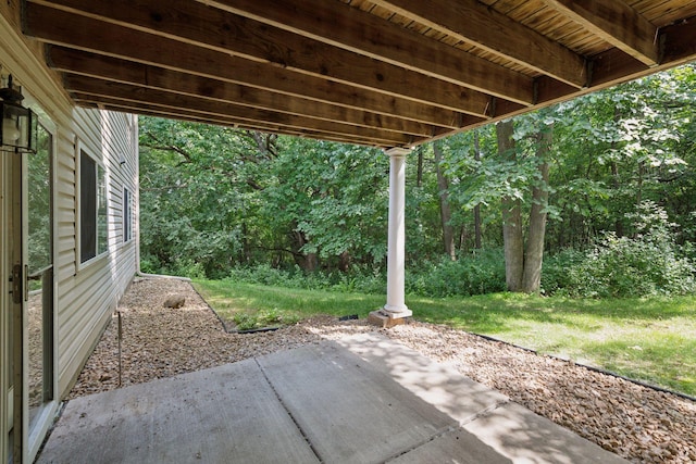 913 Carriage Ln, Chaska, MN 55318 - view of patio / terrace