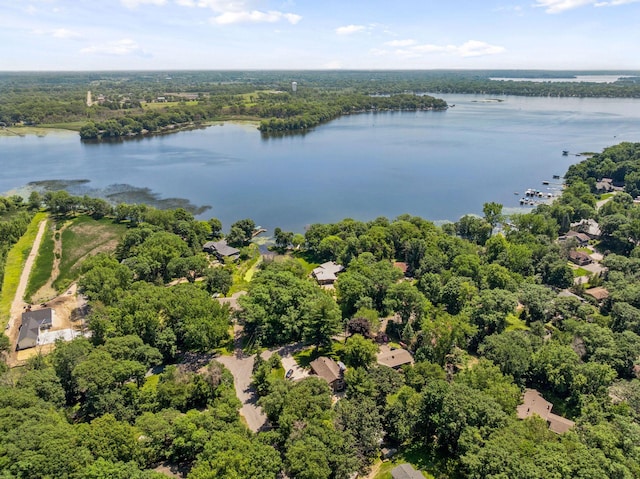 5962 Hobe Ln, White Bear Twp, MN 55110 - aerial view of a large body of water and a forest