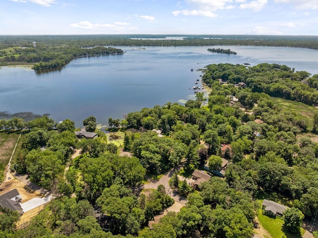 5962 Hobe Ln, White Bear Twp, MN 55110 - bird's eye view of a nearby body of water and a forest