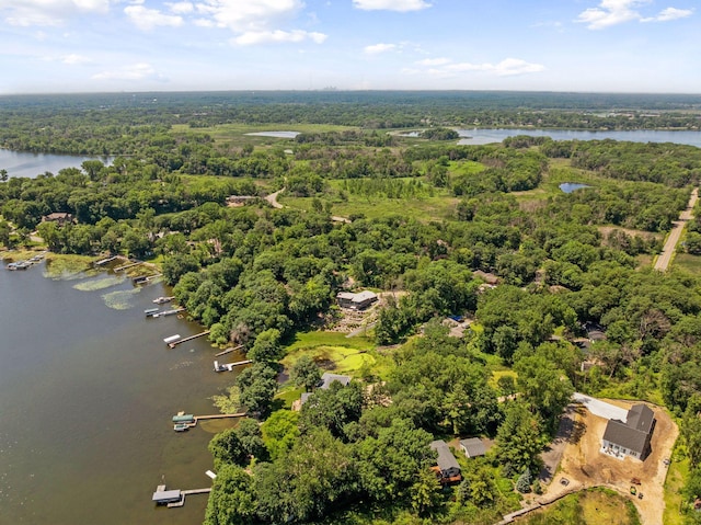 5962 Hobe Ln, White Bear Twp, MN 55110 - drone / aerial view of a large body of water and a forest