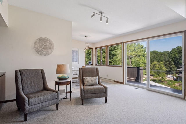 5962 Hobe Ln, White Bear Twp, MN 55110 - sitting room featuring carpet and healthy amount of natural light