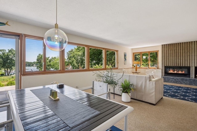 5962 Hobe Ln, White Bear Twp, MN 55110 - dining room featuring a fireplace