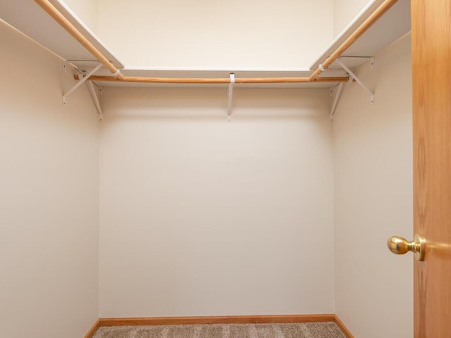 2248 Affirmed Dr, Shakopee, MN 55379 - walk in closet with carpet floors