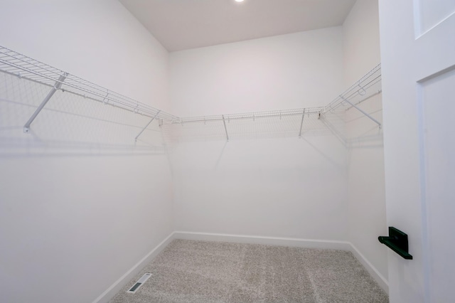9755 49th St NE, Saint Michael, MN 55376 - walk in closet with carpet floors