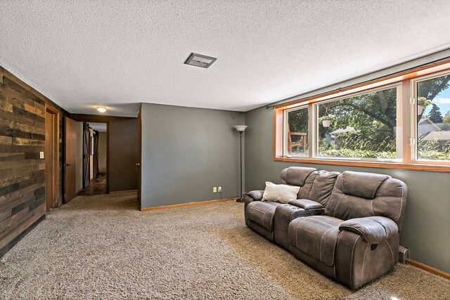 11614 Ravoux Ave, Burnsville, MN 55337 - photo 37