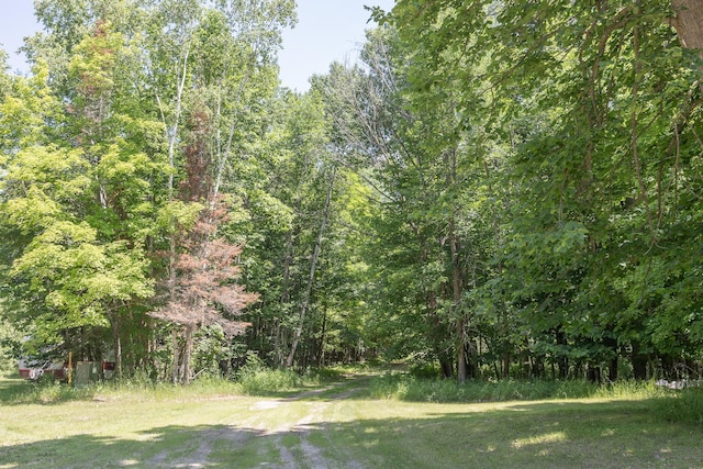 551 Edward Ln NE, Longville, MN 56655 - view of yard featuring a forest view