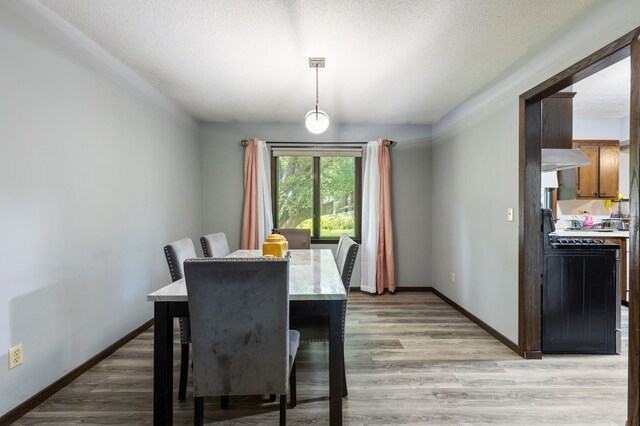 10048 Upton Rd, Bloomington, MN 55431 - dining room with light wood-style floors and a textured ceiling