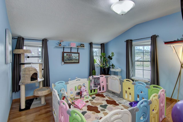 427 Alleghany Ave, Wabasha, MN 55981 - recreation room featuring vaulted ceiling, wood finished floors, a textured ceiling, and plenty of natural light