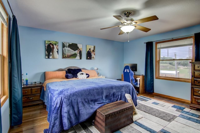 427 Alleghany Ave, Wabasha, MN 55981 - bedroom featuring wood finished floors and ceiling fan