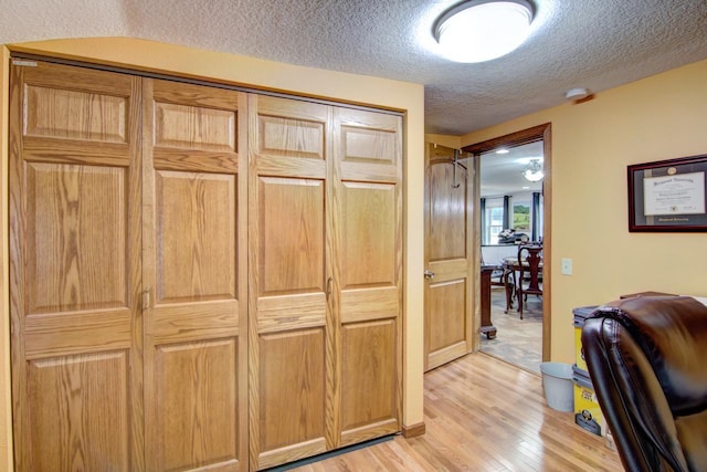 427 Alleghany Ave, Wabasha, MN 55981 - home office featuring light wood finished floors and a textured ceiling
