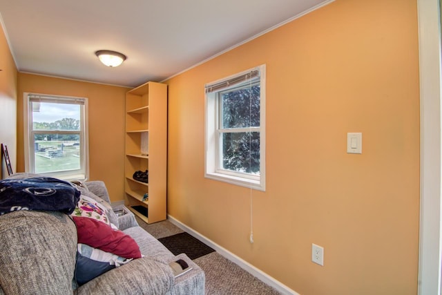427 Alleghany Ave, Wabasha, MN 55981 - bedroom featuring carpet floors and baseboards