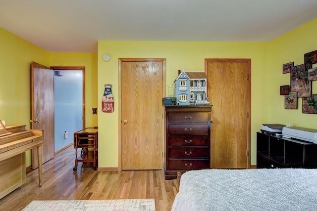 427 Alleghany Ave, Wabasha, MN 55981 - bedroom with wood finished floors and multiple closets
