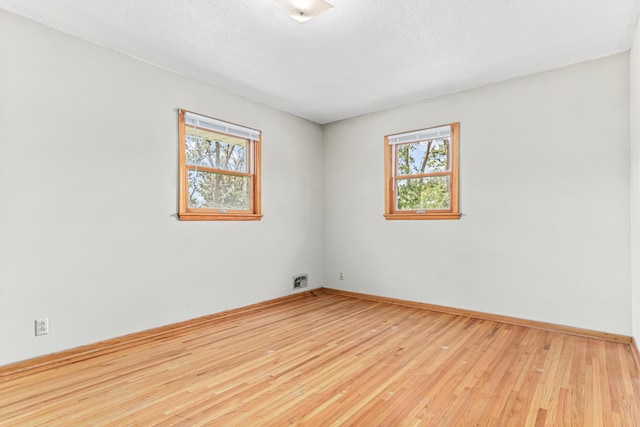 1920 108th Ln NW, Coon Rapids, MN 55433 - empty room featuring plenty of natural light and wood-type flooring