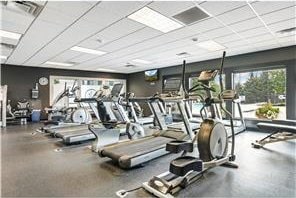 5062 French Dr N, Hugo, MN 55038 - gym featuring a drop ceiling
