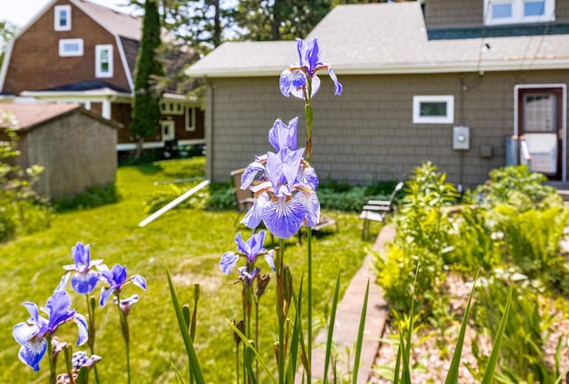 4223 Mcculloch St, Duluth, MN 55804 - view of green lawn with a storage shed