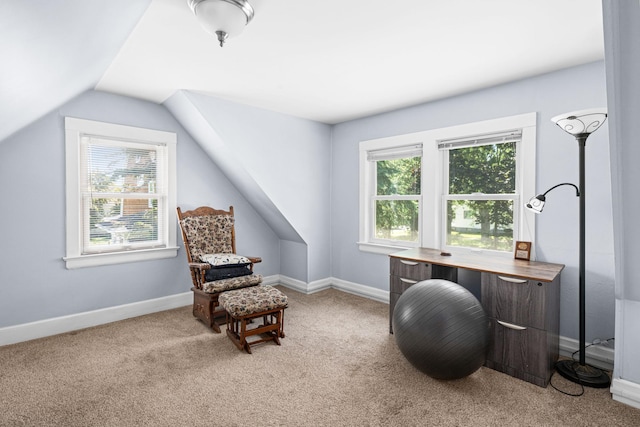 4223 Mcculloch St, Duluth, MN 55804 - home office with vaulted ceiling and carpet floors